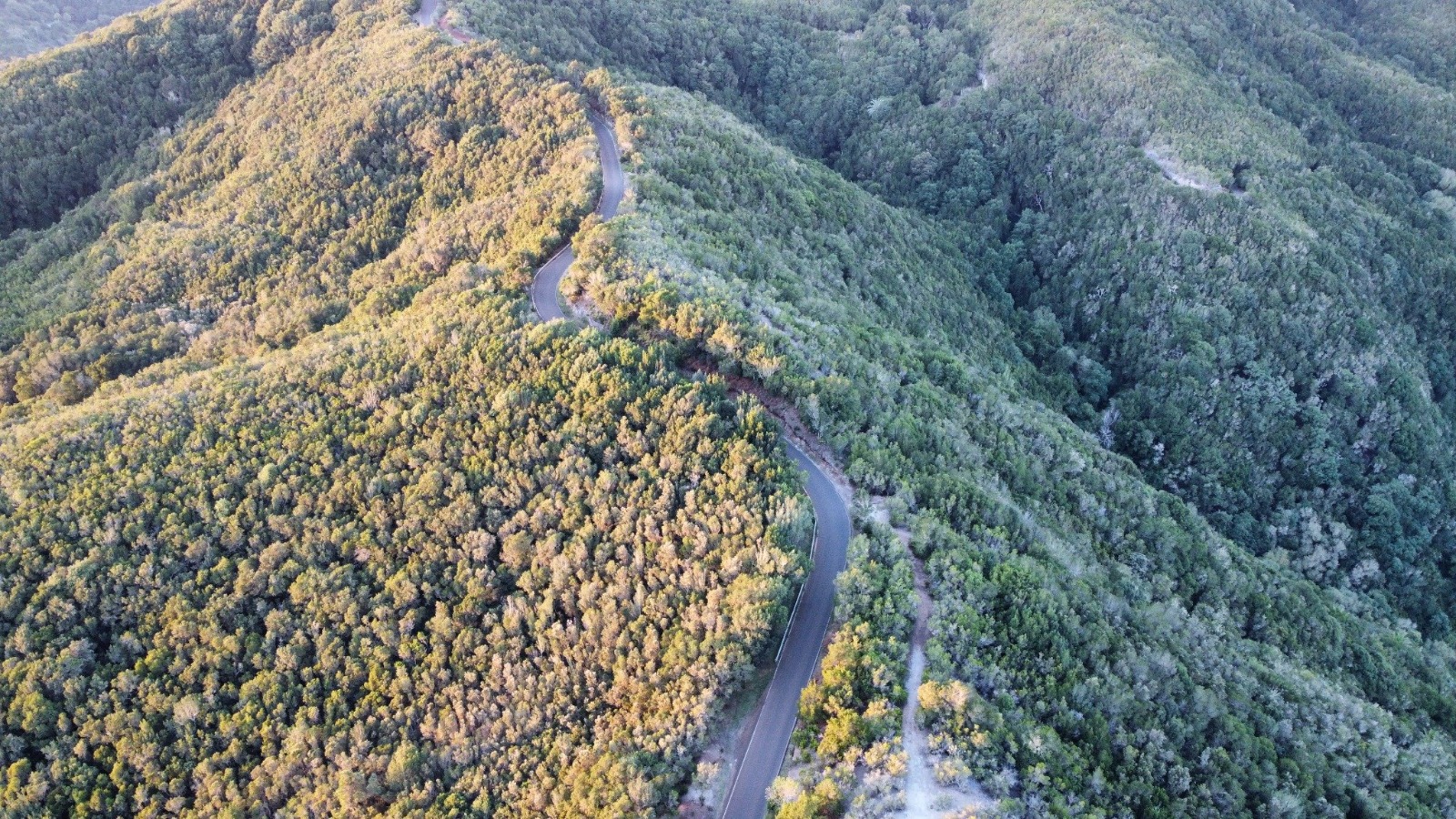 Imagen de  El Cabildo informa de cortes de tráfico en el acceso a la costa de Vallehermoso y en la vía Juego de Bolas–Laguna Grande