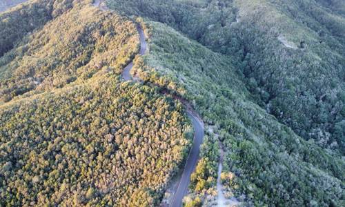 Imagen de El Cabildo informa de cortes de tráfico en el acceso a la costa de Vallehermoso y en la vía Juego de Bolas–Laguna Grande