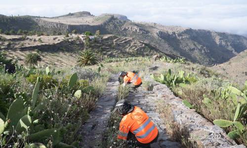 Imagen de El Cabildo avanza en la conservación y mantenimiento de más de un centenar de senderos