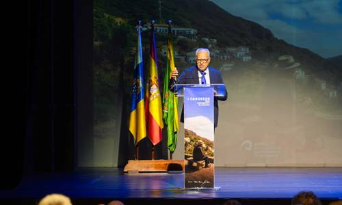 Imagen de Curbelo: “El diagnóstico del reto demográfico en Canarias ya está hecho; ahora toca actuar”