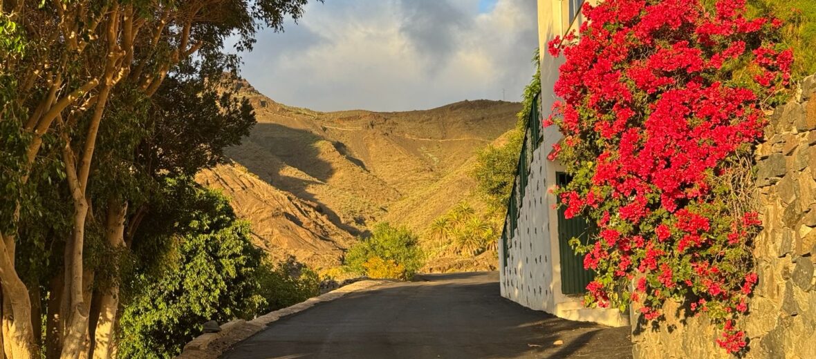 Imagen de Valle Gran Rey finaliza las obras del proyecto de Acondicionamiento y Pavimentación de Caminos de Taguluche