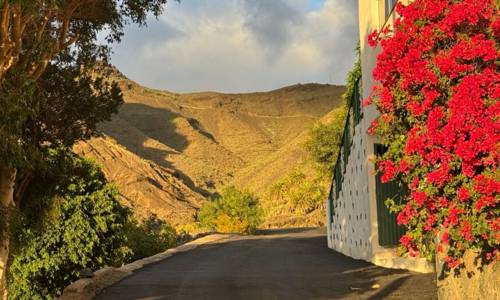 Imagen de Valle Gran Rey finaliza las obras del proyecto de Acondicionamiento y Pavimentación de Caminos de Taguluche