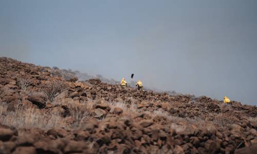 Imagen de El Cabildo de La Gomera aplica medidas preventivas ante la situación de alerta por riesgo de incendios forestales