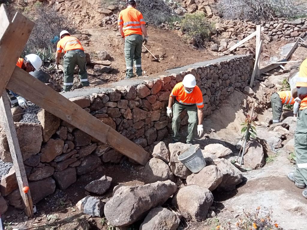 Imagen de La Gomera rehabilita sus bancales con más de un centenar de actuaciones en los últimos cinco meses 