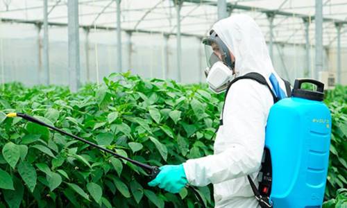 Imagen de El Cabildo de La Gomera oferta nuevos cursos de manipulador de productos fitosanitarios de nivel básico