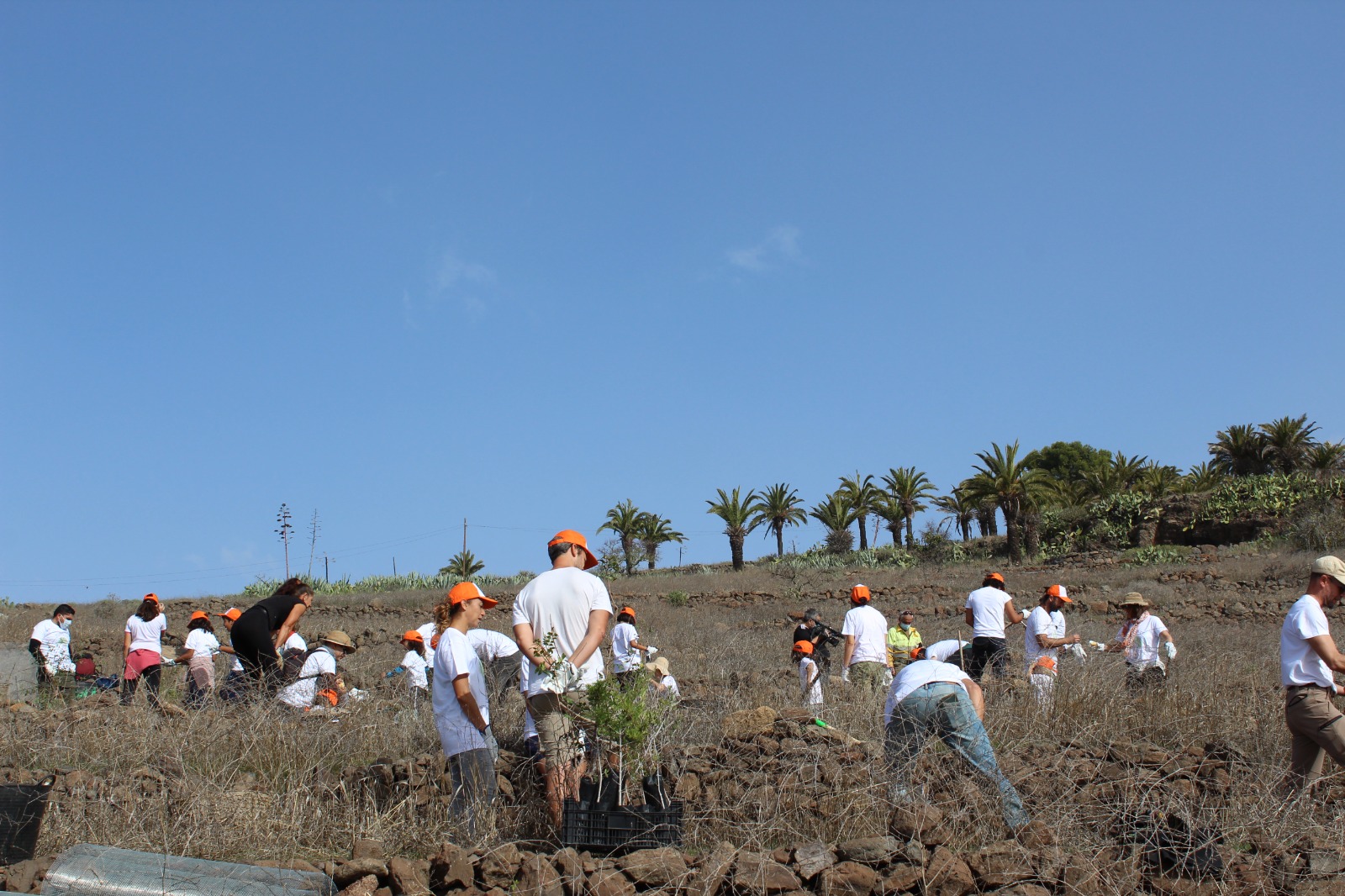 Imagen de El Cabildo concluye el programa del Día insular del Árbol con una actividad de plantación y convivencia