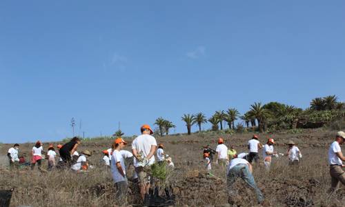 Imagen de El Cabildo concluye el programa del Día insular del Árbol con una actividad de plantación y convivencia