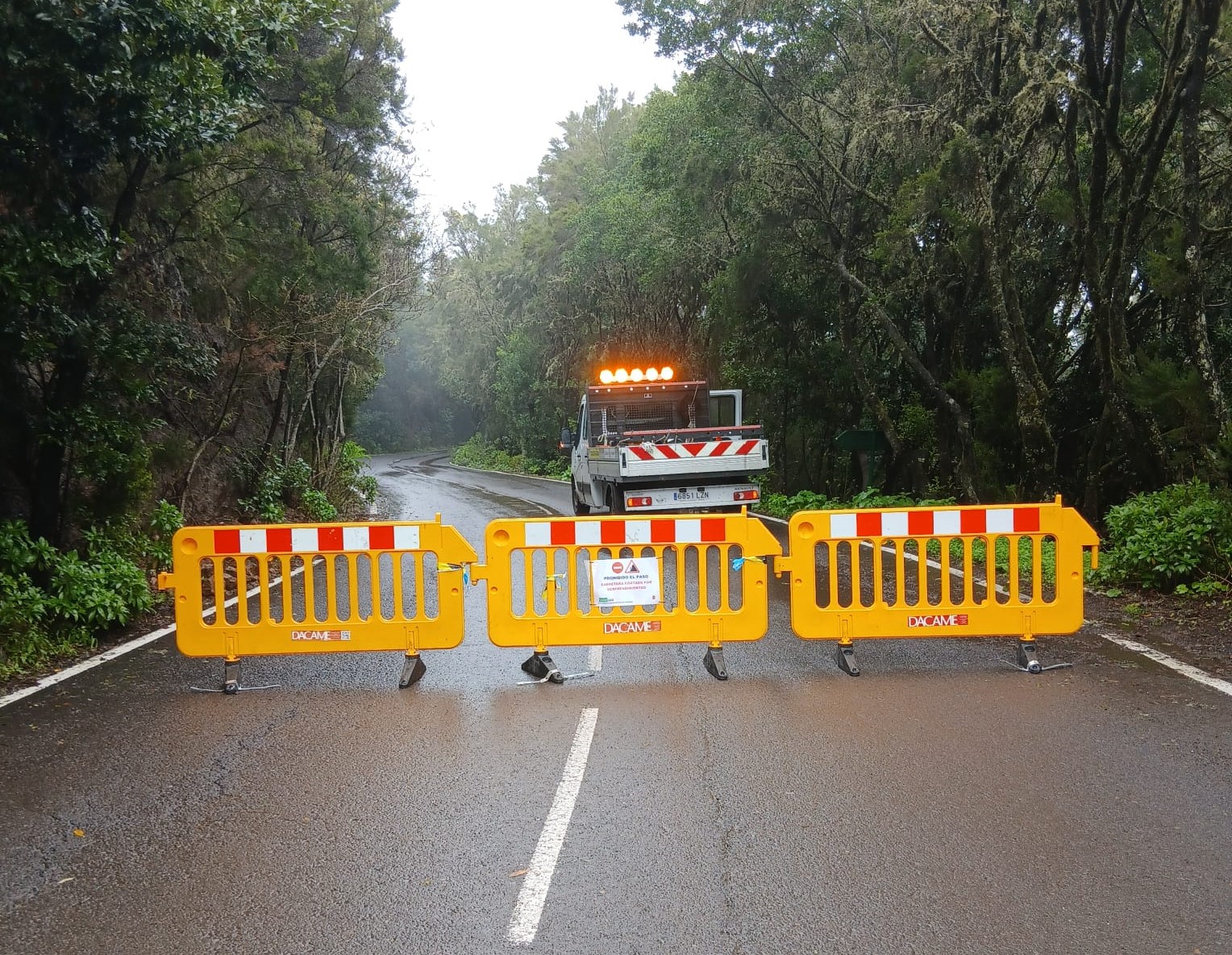 Imagen de El Cabildo de La Gomera cierra la carretera de El Rejo para realizar labores de limpieza 