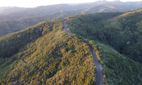 Imagen de El Cabildo aprueba la inversión de 10 millones de euros para adecuar la vía entre Juego de Bolas y Laguna Grande