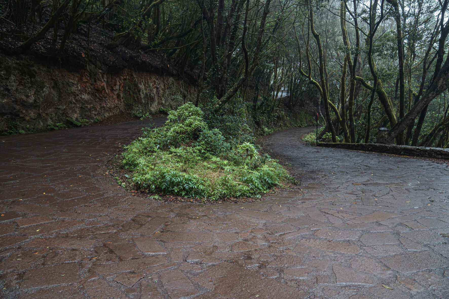 Imagen de El Cabildo adjudica los trabajos de accesibilidad y mejora paisajística de Las Mimbreras con una inversión de 1,8 millones de euros