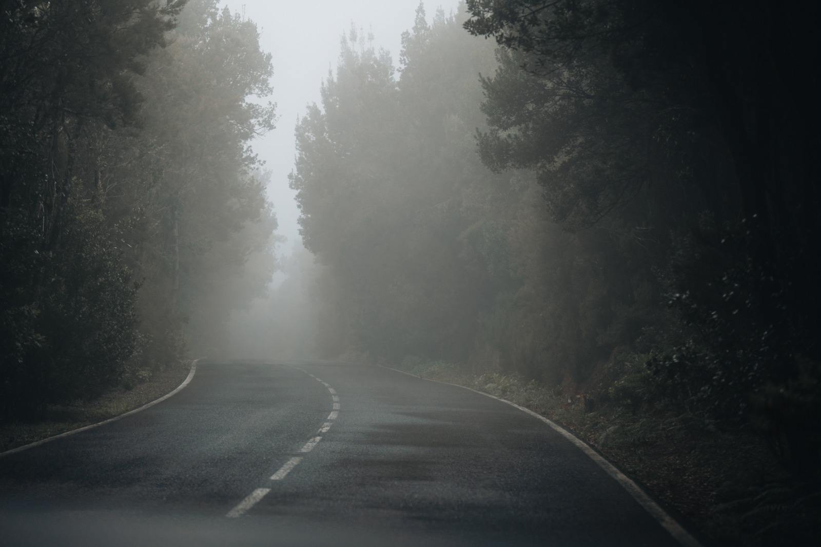 Imagen de El Cabildo de La Gomera activa el Plan de Emergencias Insular ante la alerta por lluvias 