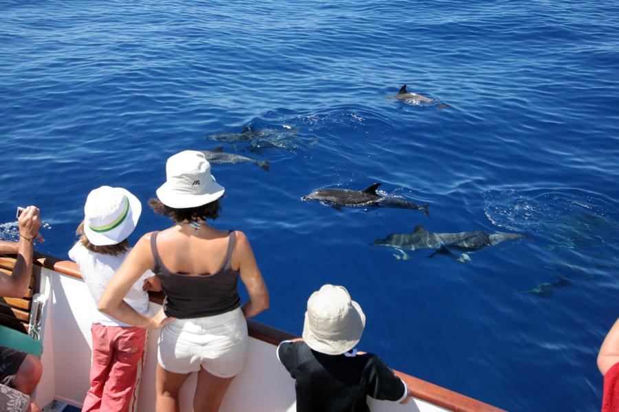 Imagen de La Gomera cierra una temporada de invierno histórica con más gasto turístico y el 95% de ocupación 