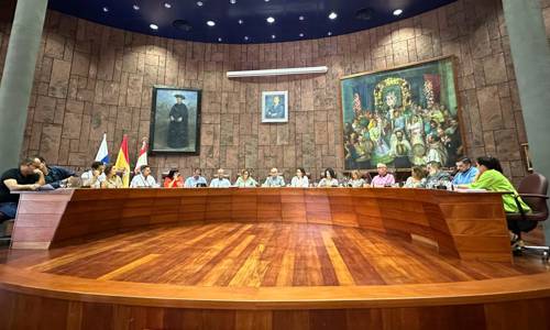 Imagen de El Pleno del Cabildo aprueba el reglamento de uso de la marca ‘Artis-Manus La Gomera’