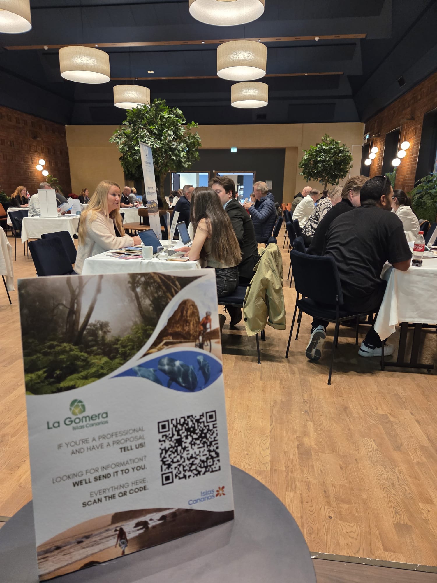 Imagen de La Gomera impulsa su posicionamiento en el mercado nórdico participando en un encuentro con profesionales del sector