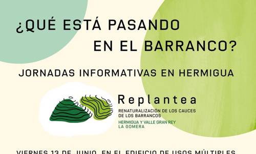 Imagen de Hermigua acoge este viernes una jornada informativa sobre la renaturalización de los barrancos