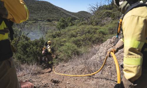Imagen de El Cabildo refuerza la concienciación ciudadana para la prevención de incendios y control de especies invasoras