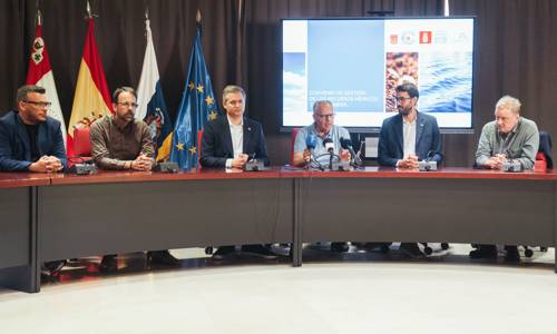 Imagen de La Gomera y Dinamarca impulsan un proyecto tecnológico conjunto para la gestión de los recursos hídricos