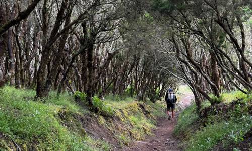 Imagen de Dos blogueros checos visitan La Gomera como etapa final del recorrido GR-131 por las Islas Canarias