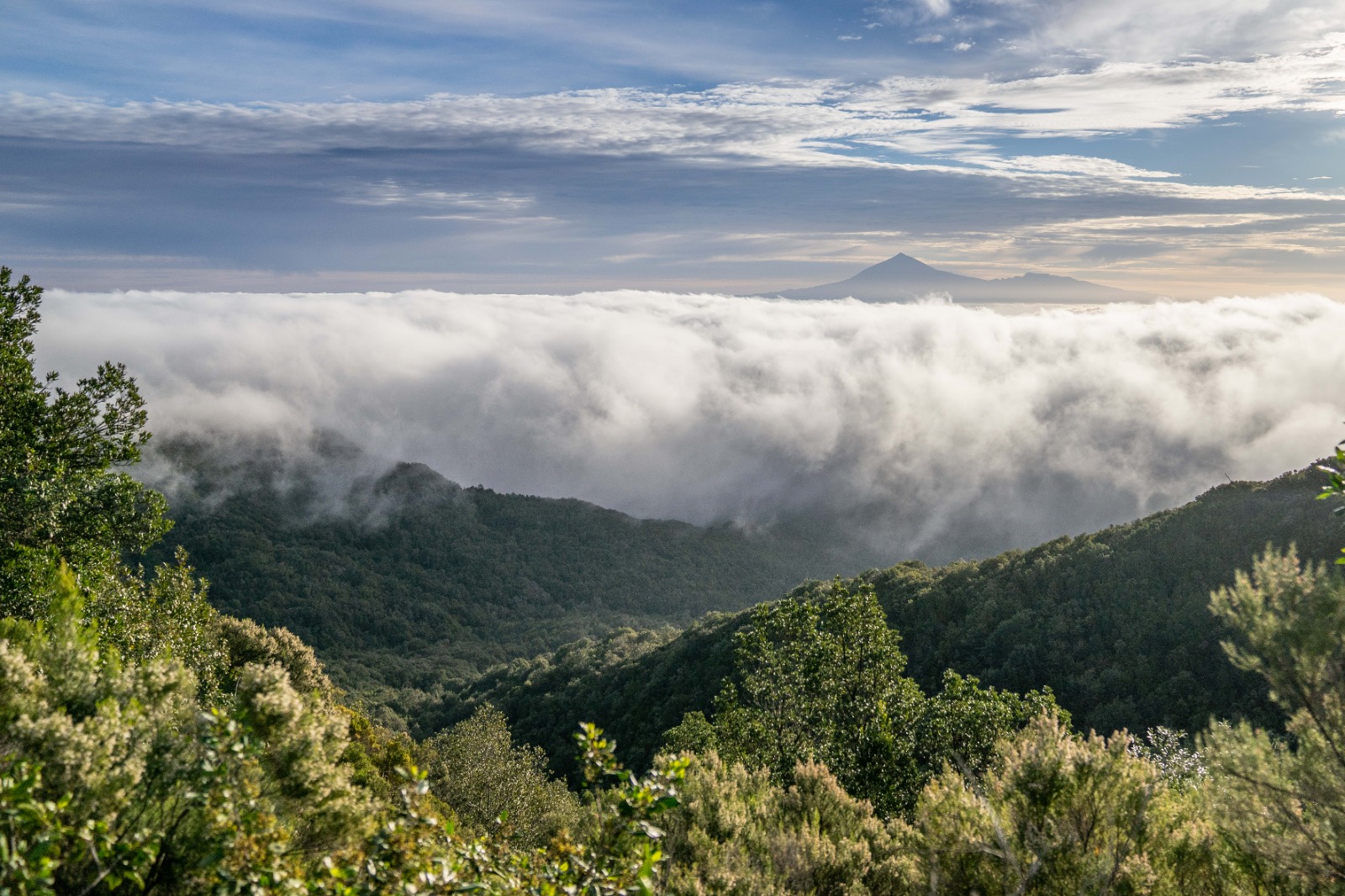 Imagen de La Gomera conmemora su undécimo aniversario como Reserva de la Biosfera