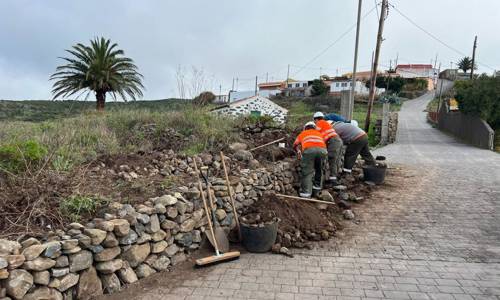 Imagen de El Cabildo ejecuta una treintena de actuaciones para la rehabilitación de bancales en la isla