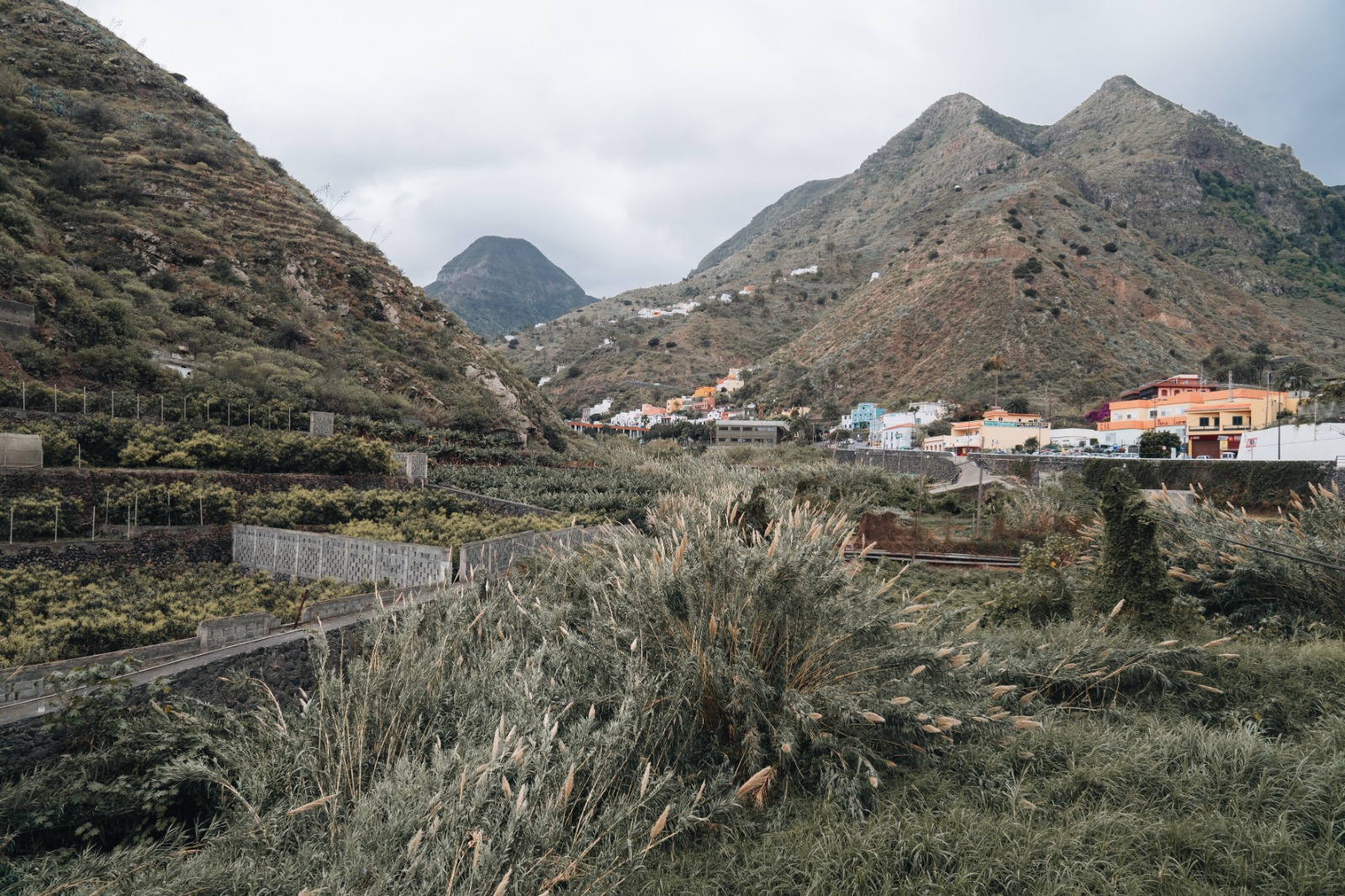 Imagen de El Cabildo aprueba el proyecto para la restauración de ecosistemas en barrancos de La Gomera 