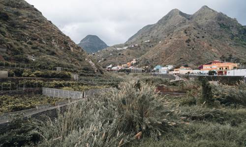 Imagen de El Cabildo aprueba el proyecto para la restauración de ecosistemas en barrancos de La Gomera