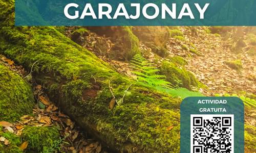 Imagen de El Cabildo y la Fundación Acuorum reprograman la actividad de búsqueda ‘El tesoro escondido del Garajonay’