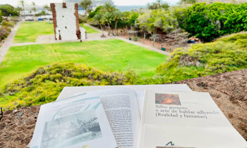 Imagen de El Cabildo de La Gomera convoca la XVII edición del Concurso de Relatos Hiperbreves ‘Ruiz de Padrón’