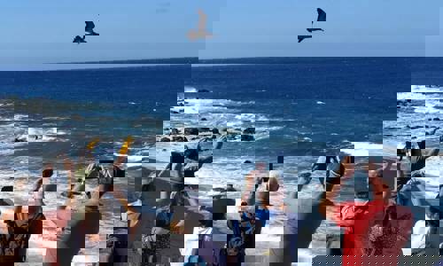 Imagen de El Cabildo refuerza la campaña de la pardela cenicienta para reducir el impacto lumínico en zonas costeras