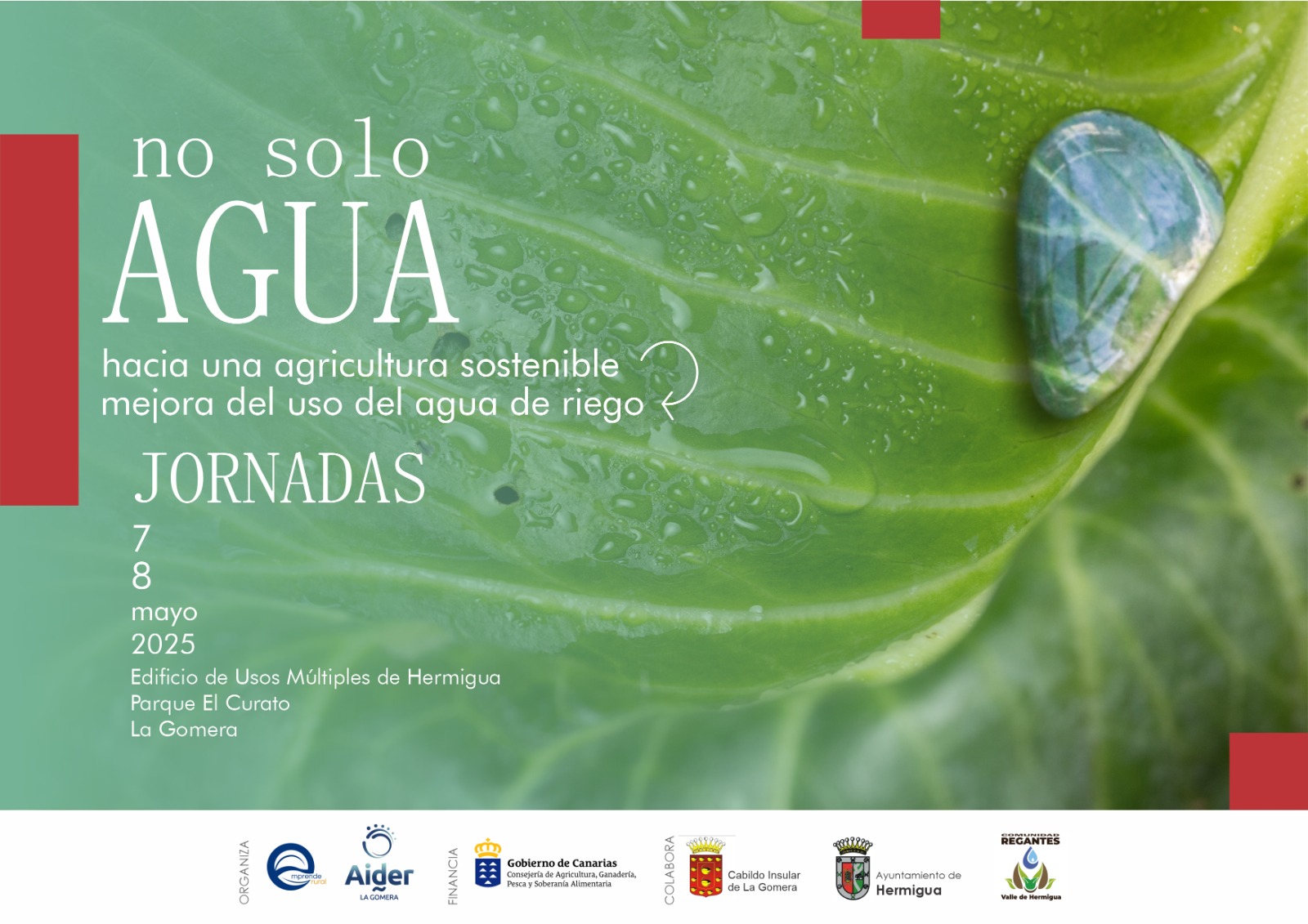 Imagen de La Gomera impulsa la eficiencia hídrica en la agricultura sostenible con unas jornadas en Hermigua