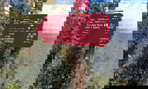 Imagen de El Cabildo de La Gomera ejecuta trabajos de reposición de la señalética de la red insular de senderos