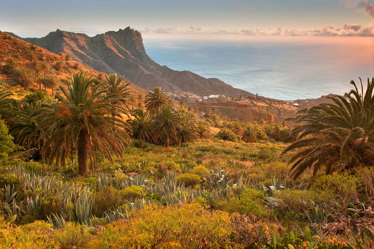 Imagen de Los tesoros naturales de La Gomera protagonizan un reportaje en la revista Viajes de National Geographic