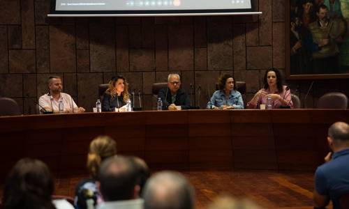 Imagen de El Cabildo culmina la ronda de encuentros con el sector empresarial para abordar la nueva edición del Bono Consumo