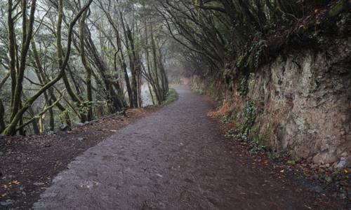 Imagen de El Cabildo licita los trabajos de mejora paisajística y de accesibilidad a El Cedro - Las Mimbreras