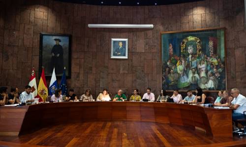 Imagen de El Pleno del Cabildo aprueba una moción de apoyo a la adaptación normativa de agentes de medio ambiente