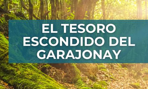 Imagen de Cabildo y Fundación Acuorum celebran el Día Mundial del Agua en la isla con una búsqueda del tesoro ambiental