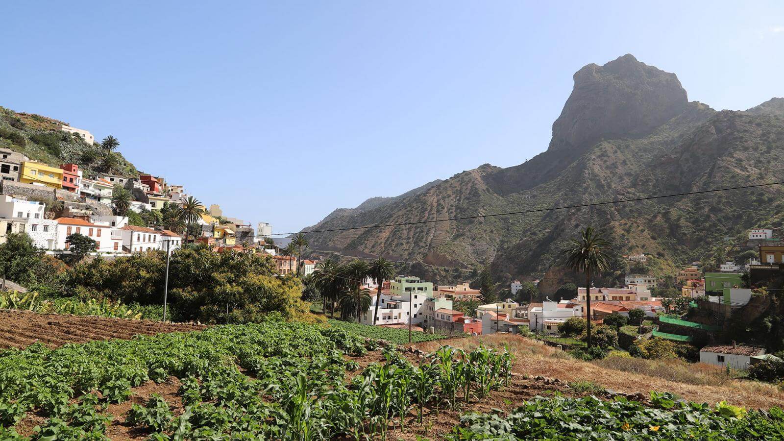 Imagen de La Red Terrae celebra las IV Jornadas sobre Agroecología y Municipalismo en Vallehermoso