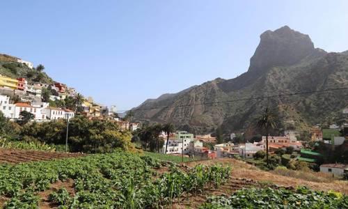 Imagen de La Red Terrae celebra las IV Jornadas sobre Agroecología y Municipalismo en Vallehermoso