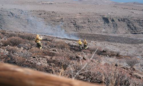 Imagen de El Cabildo aplica medidas preventivas ante la alerta por temperaturas máximas y riesgo de incendios forestales