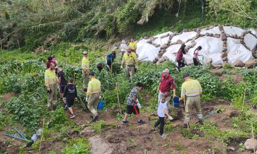 Imagen de La Unidad de Medio Ambiente impulsa la recuperación de bosques de galería con la participación de escolares