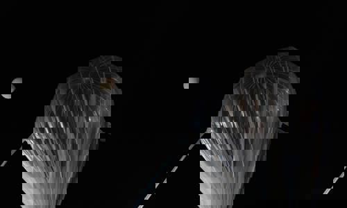 Imagen de B2Space culmina con éxito el lanzamiento del globo estratosférico en colaboración con el Cabildo gomero