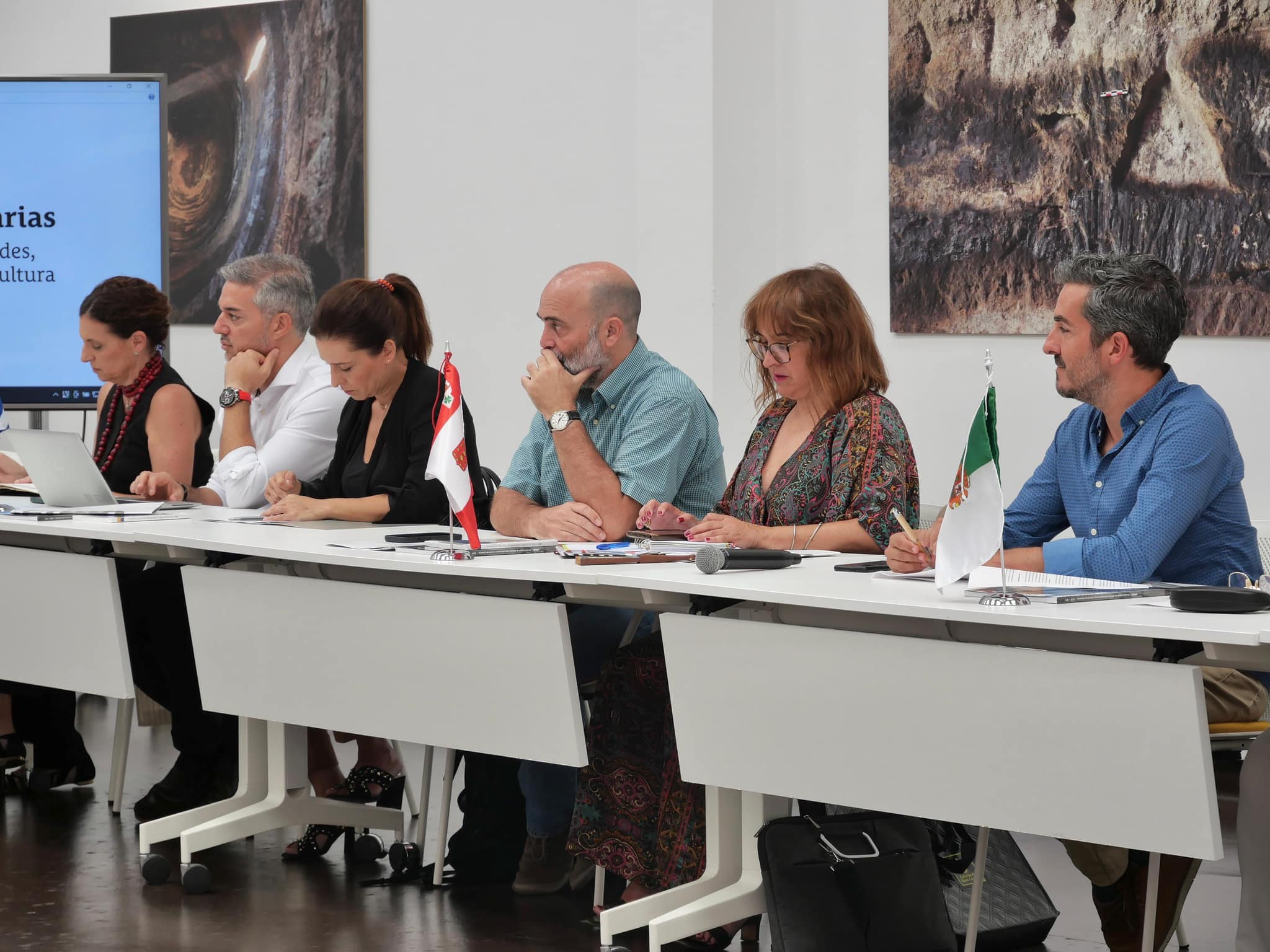 Imagen de La Gomera refuerza su actividad en materia de investigación y difusión del patrimonio insular