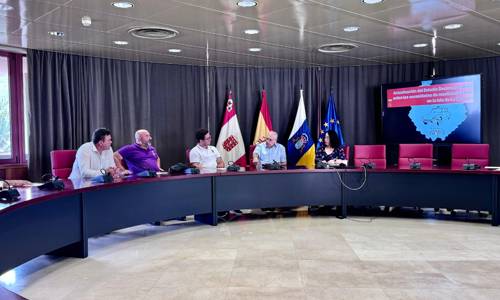 Imagen de El Cabildo aprueba las bases de los nuevos incentivos para el sector del taxi en La Gomera