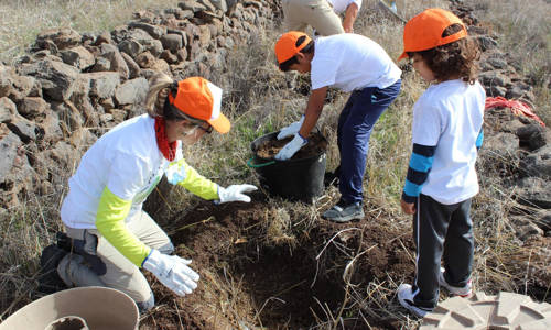 Imagen de La Gomera presenta el programa de actividades para celebrar el Día del Árbol