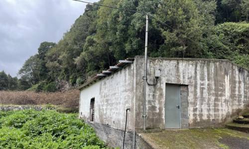 Imagen de El Cabildo de La Gomera adjudica los trabajos de ampliación y mejora del vivero de El Cedro