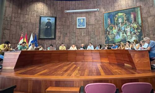 Imagen de El Cabildo de La Gomera aprueba un acuerdo institucional en defensa del pueblo palestino