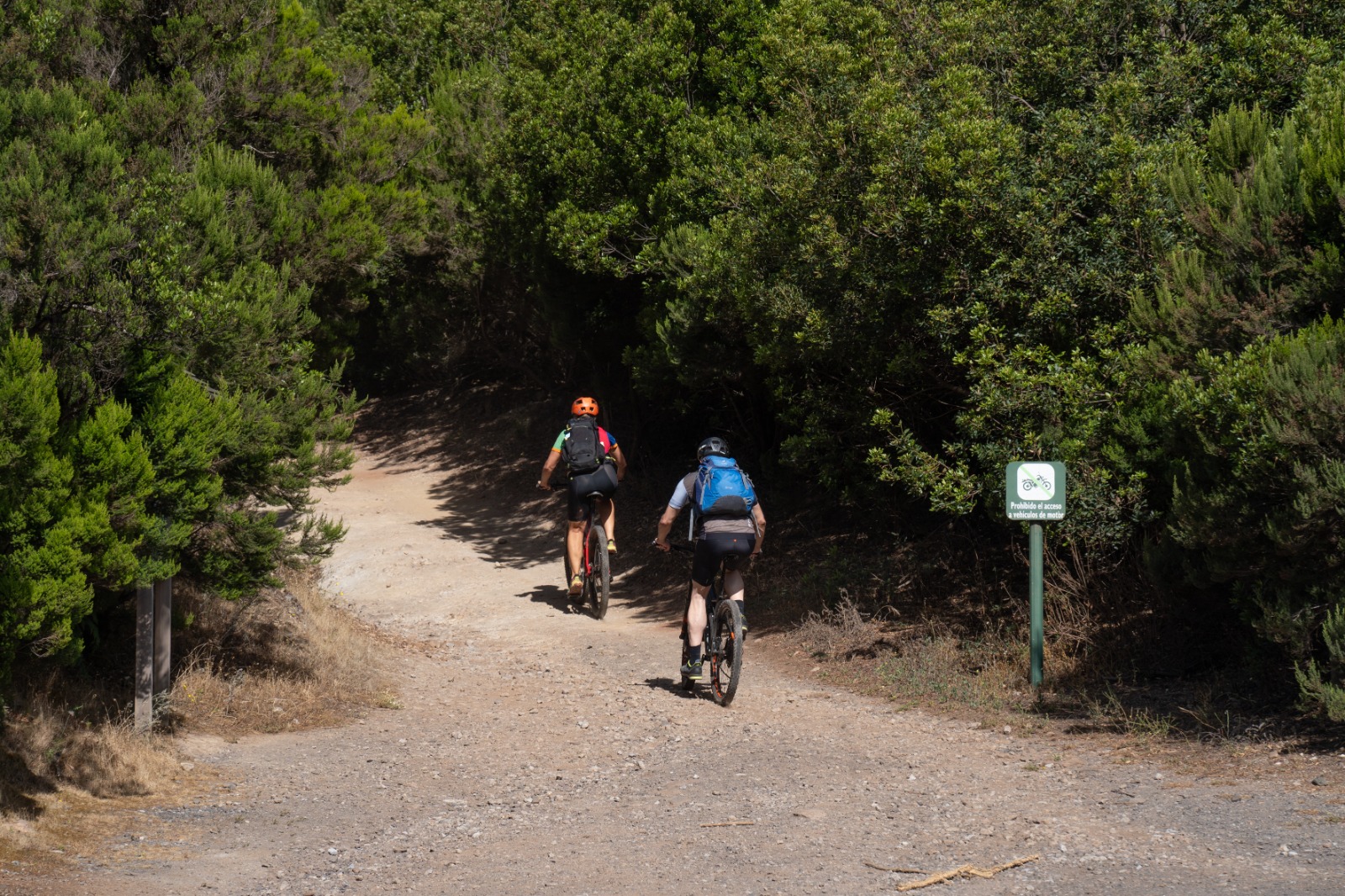 Imagen de El Cabildo rebaja al grado 2 las medidas preventivas ante la alerta por riesgo de incendios forestales