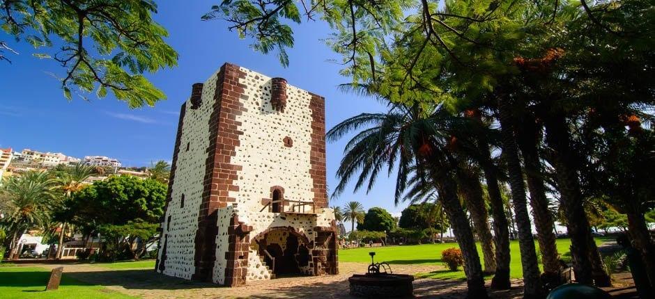 Imagen de La Gomera acogerá las III Jornadas Técnicas Internacionales de Vitivinicultura Sostenible