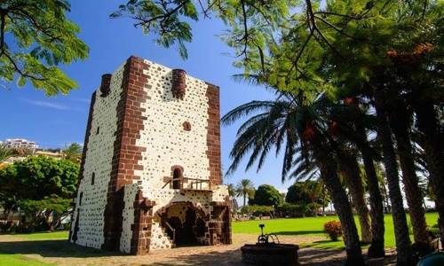 Imagen de La Gomera acogerá las III Jornadas Técnicas Internacionales de Vitivinicultura Sostenible