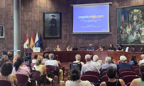 Imagen de El Cabildo inicia los primeros viajes del programa destinado a personas con discapacidad o movilidad reducida